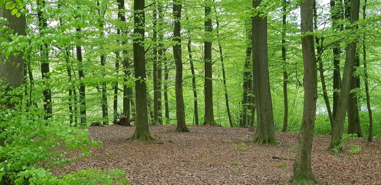 Ferienhaus Heide Bad Fallingbostel Bagian luar foto